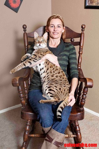 Tallest Cat Ever