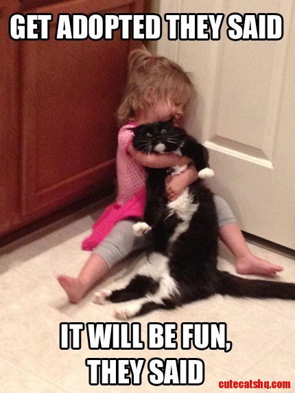 That Cat's Face!