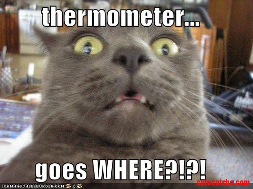 Thermometer