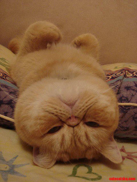 This Is How He Sleeps
