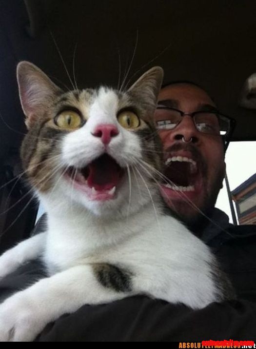 Too Funny...