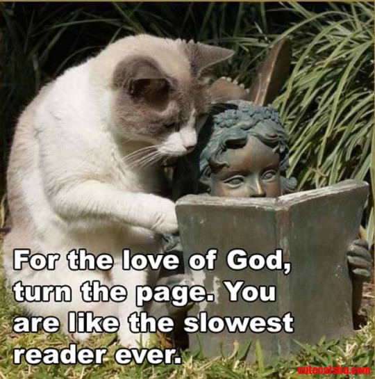 Turn the Page!