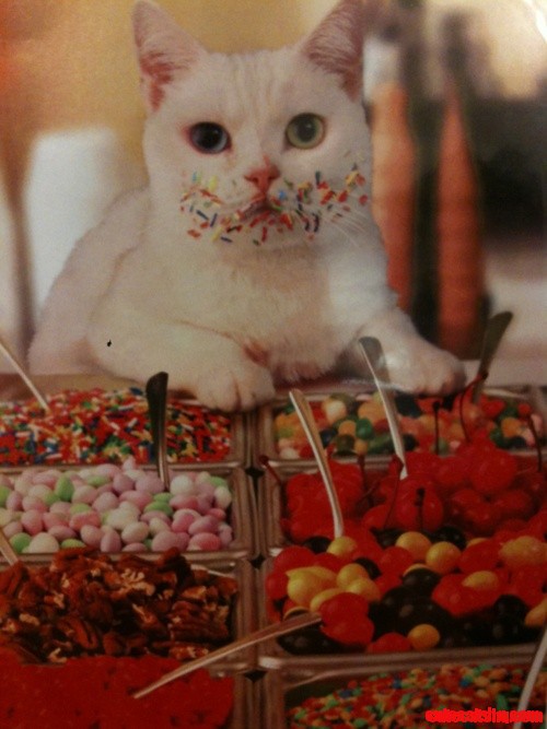 What Sprinkles?