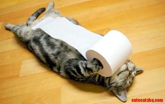 You Understand Me Toilet Paper