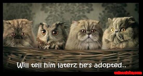 Aww