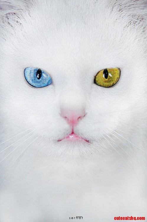 Beautiful