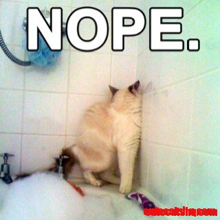 Beware the Bath!! Beware It!!