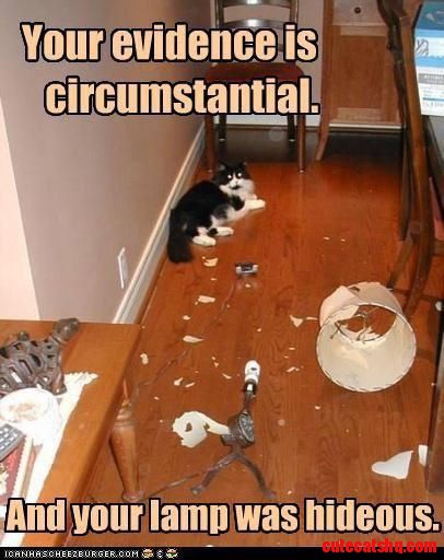 Circumstantial Evidence....