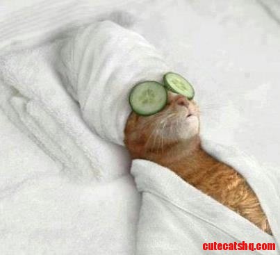 Detox!