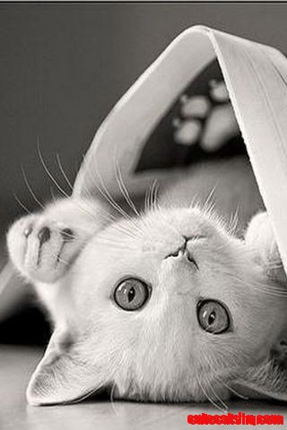 Life Sometimes Looks Better Upside-down