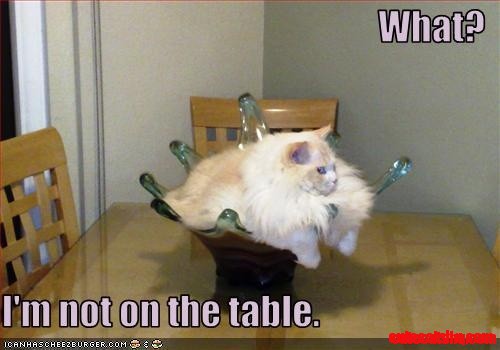 Lol... Cats.