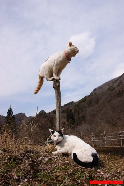Look What I Can Do!