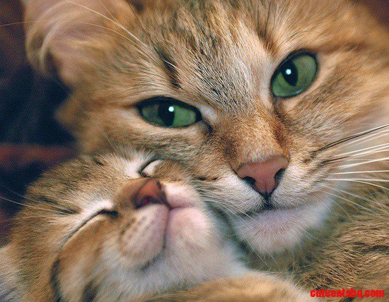 Mama and Baby