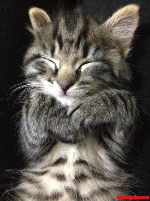 Nap