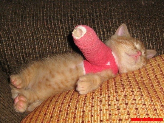 Ouchie