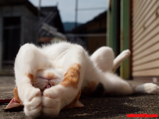 People - Leave Me Alone!