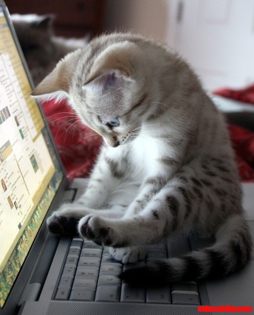 Pinning,pinning,pinning...lol