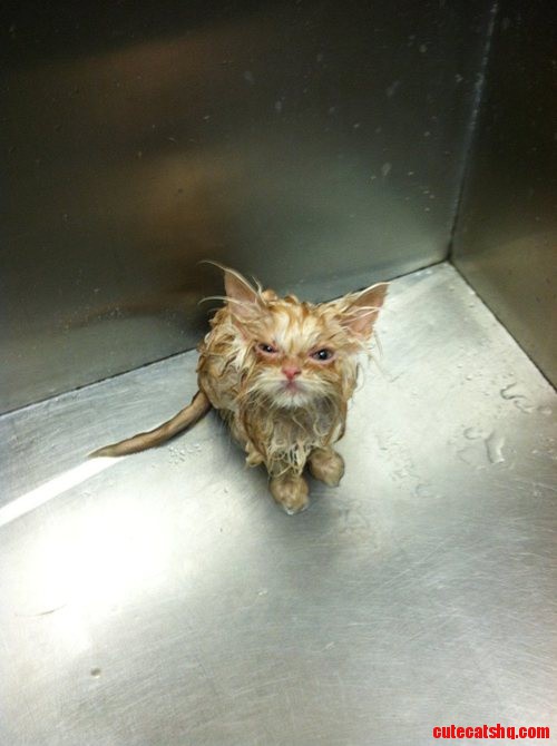 Sherioushly Dad? Weally? I Can Do This on My Own.. No Need to Shove Me in a Sink. Jerk.