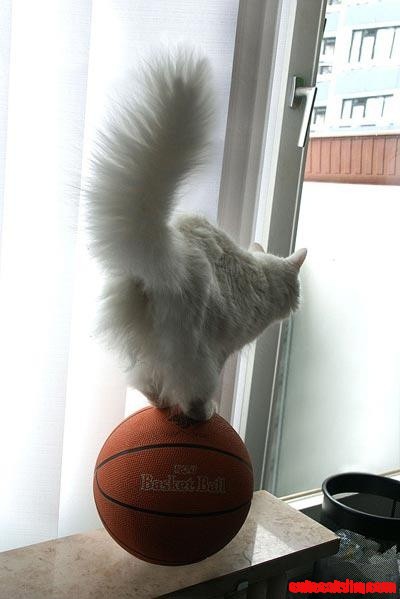 Talents..he Has Them