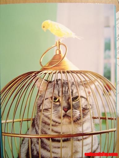 Trading Spaces...