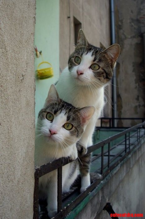 Up to No Good