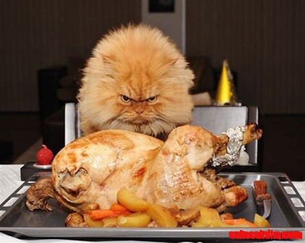 Your Offering Does Not Please Me.