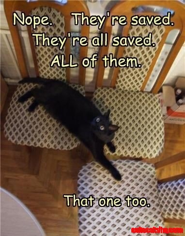 Cat Haha!