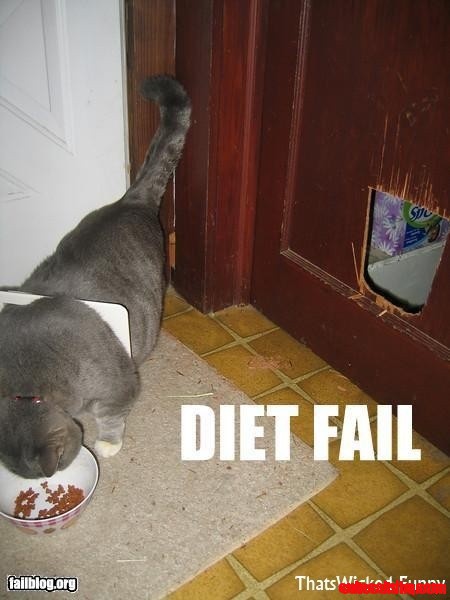 This Will Be Fuzz If We Aren't Careful