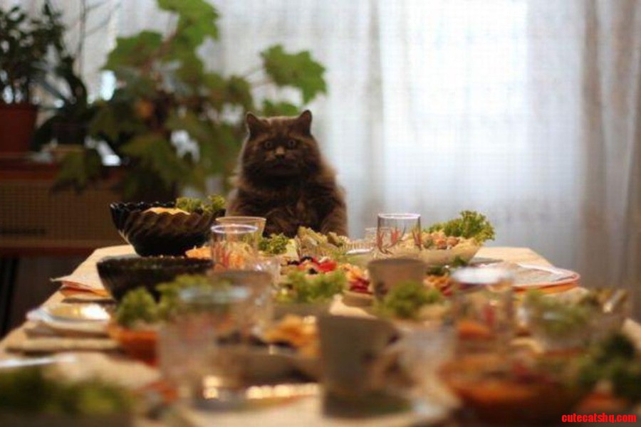 Food Time