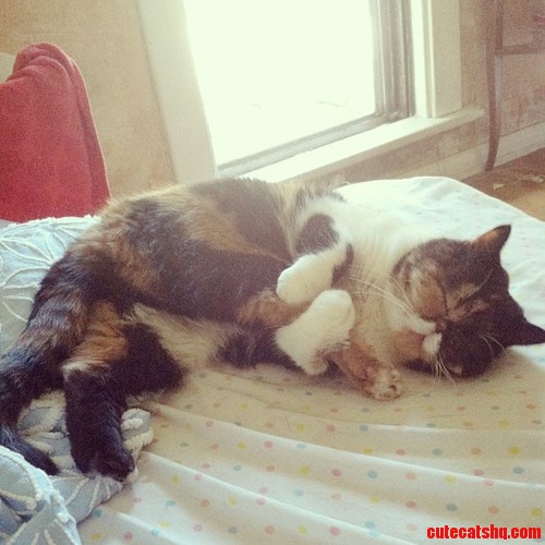 Love You, Leg