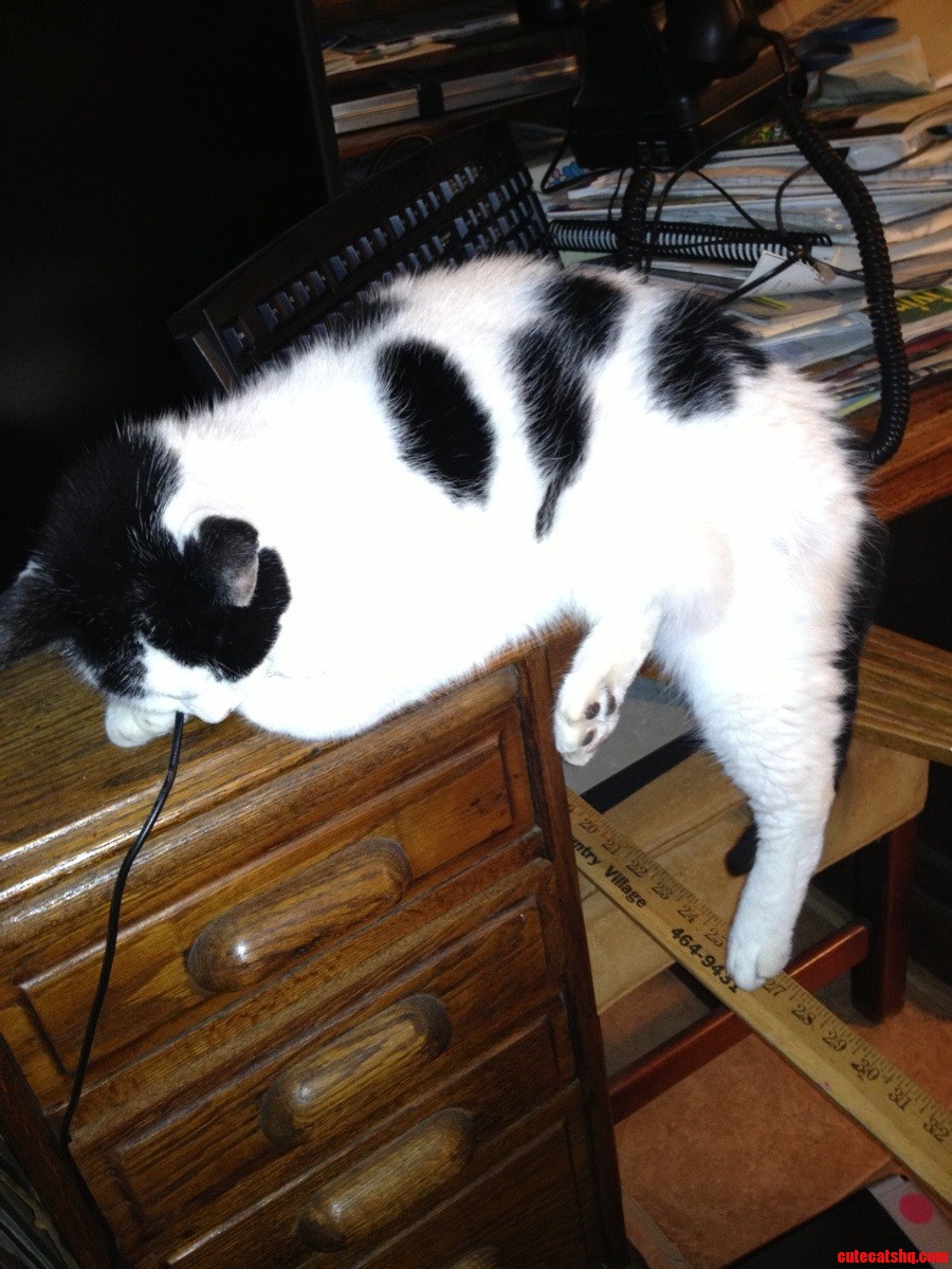 15 Yo. If I Fits I Sits.