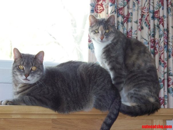4th of July Is Also Their Birthday 11 Years Old Today