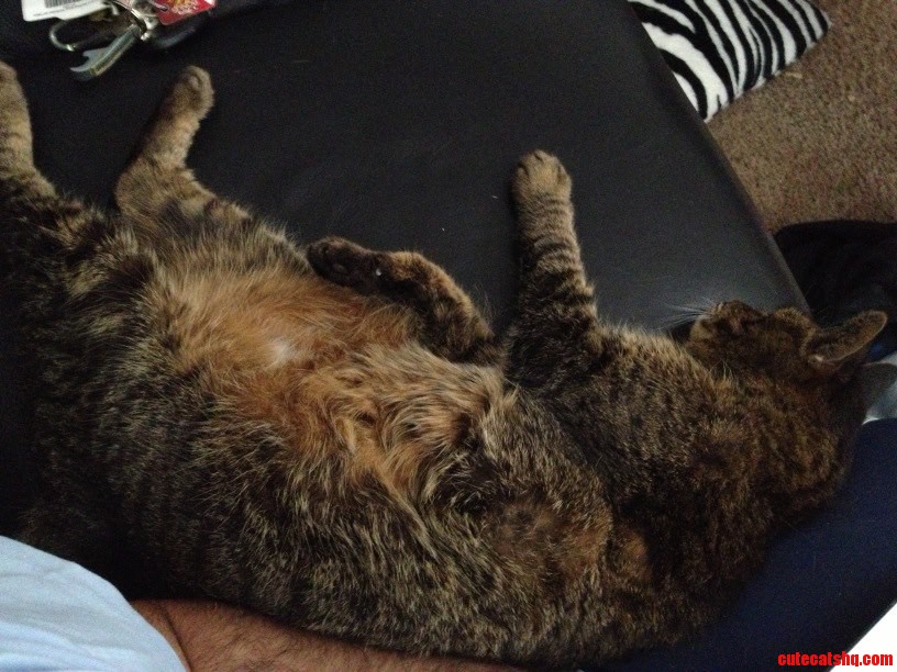 Ac Broke and It Was Too Hot to Cuddle. Finally Got Fixed.