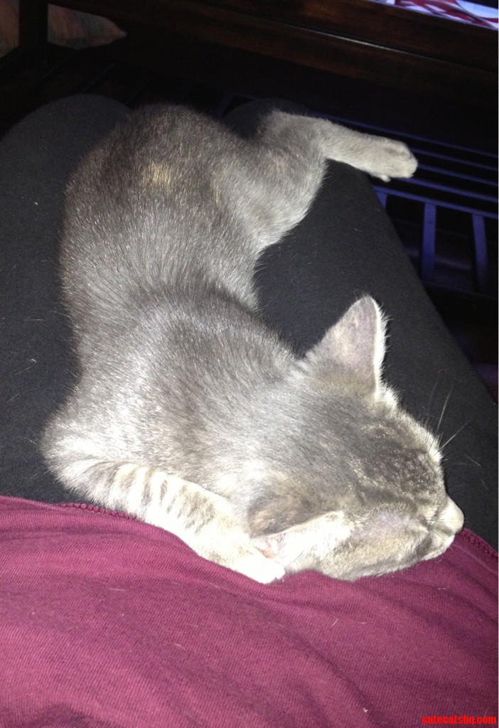 After a Long Day of Playing  She Passes Out Like This