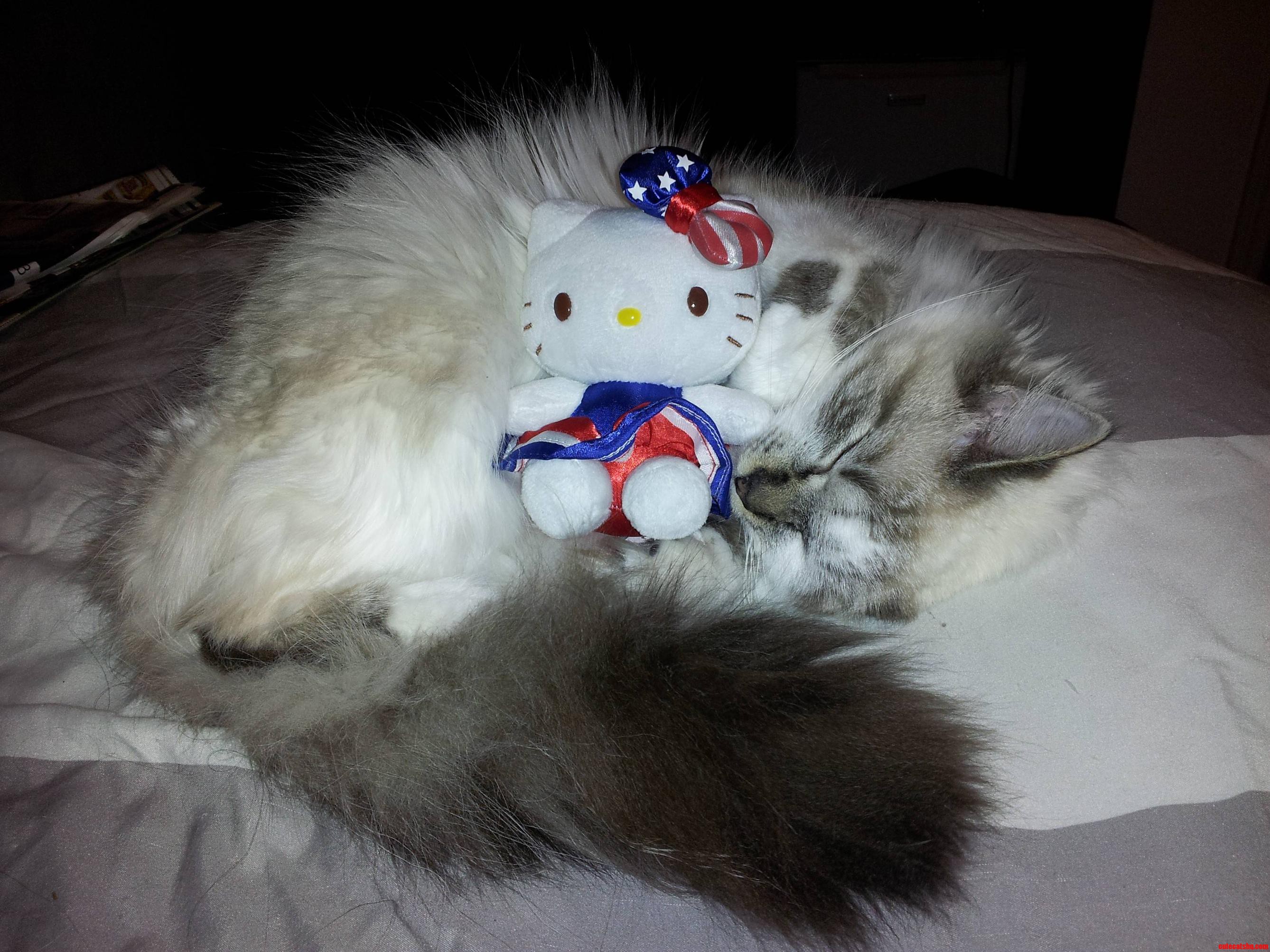 All Tuckered Out.