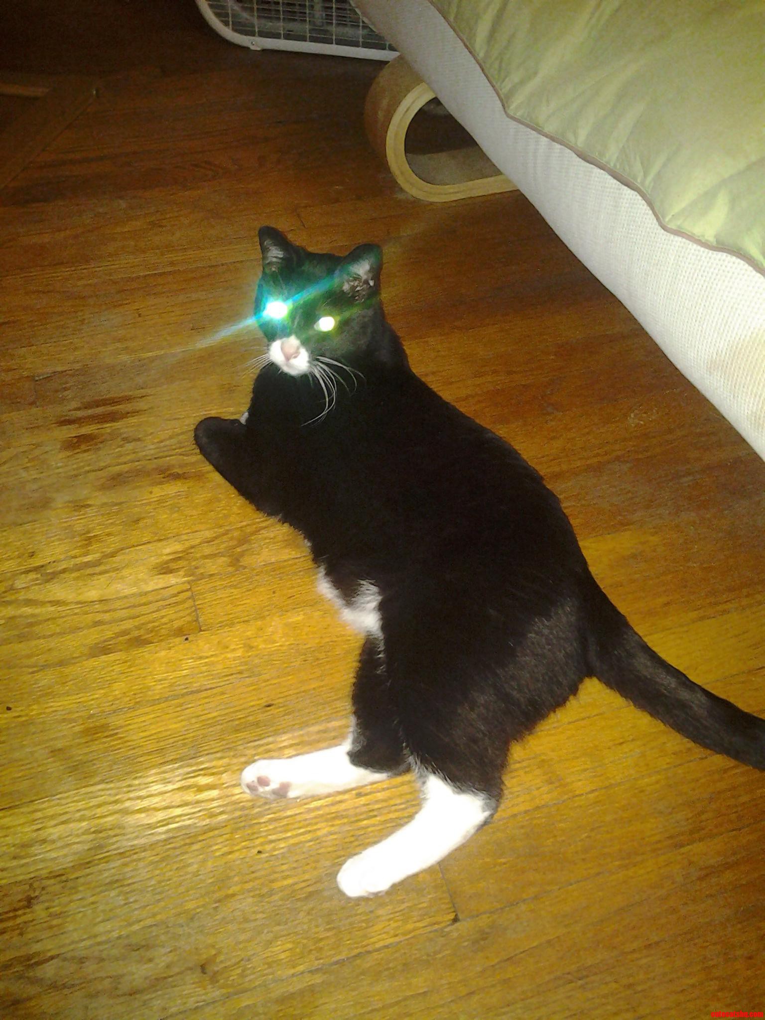 All Your Bases Are Belong to Us.