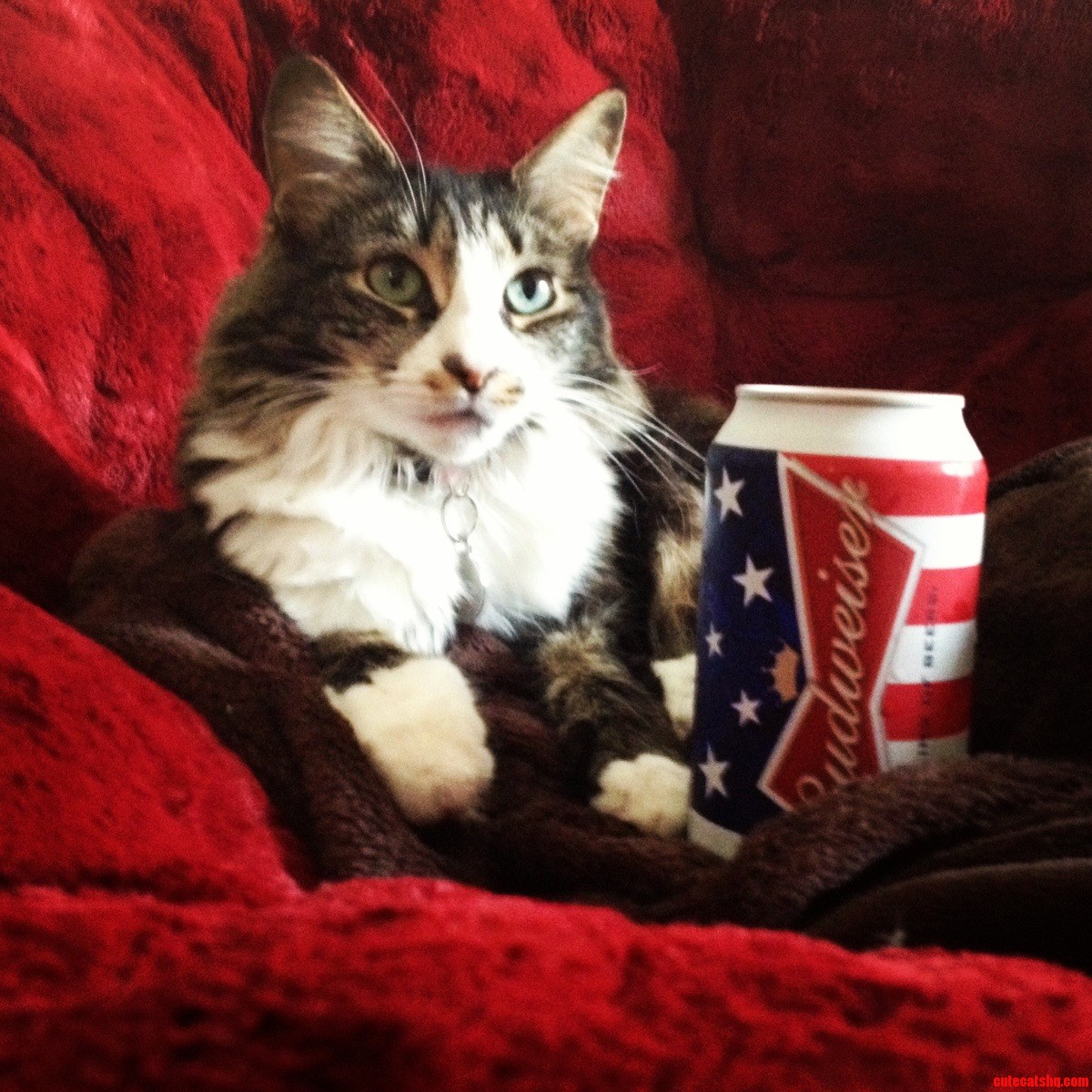 Americat