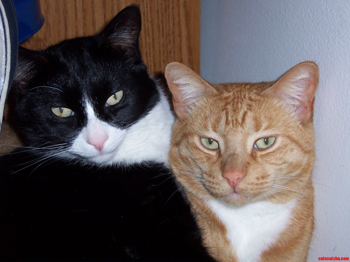 Brothers