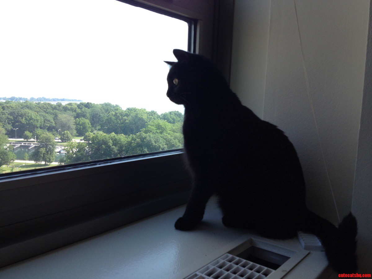 Bubs Enjoying the View