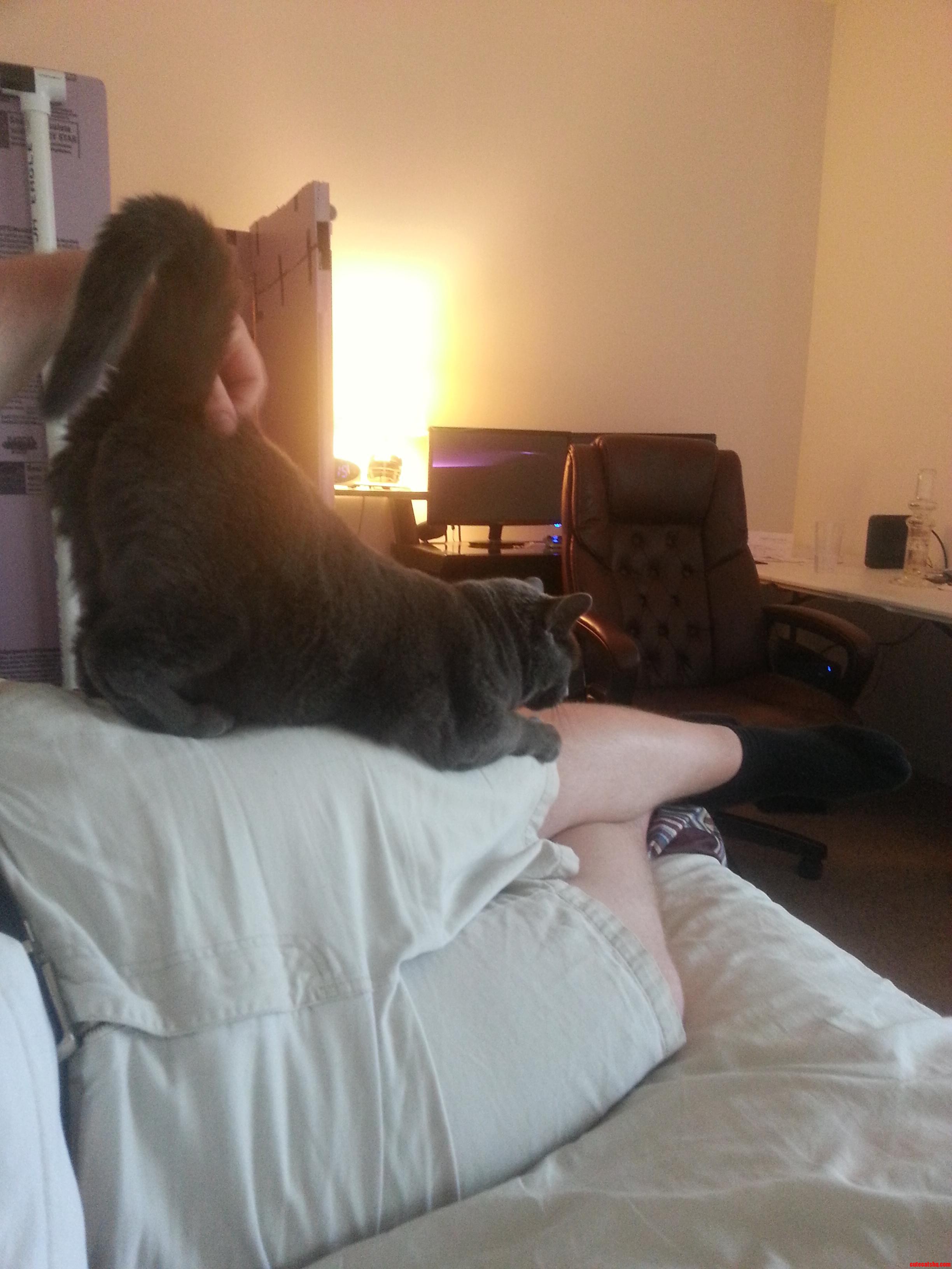 Butt Scratcher