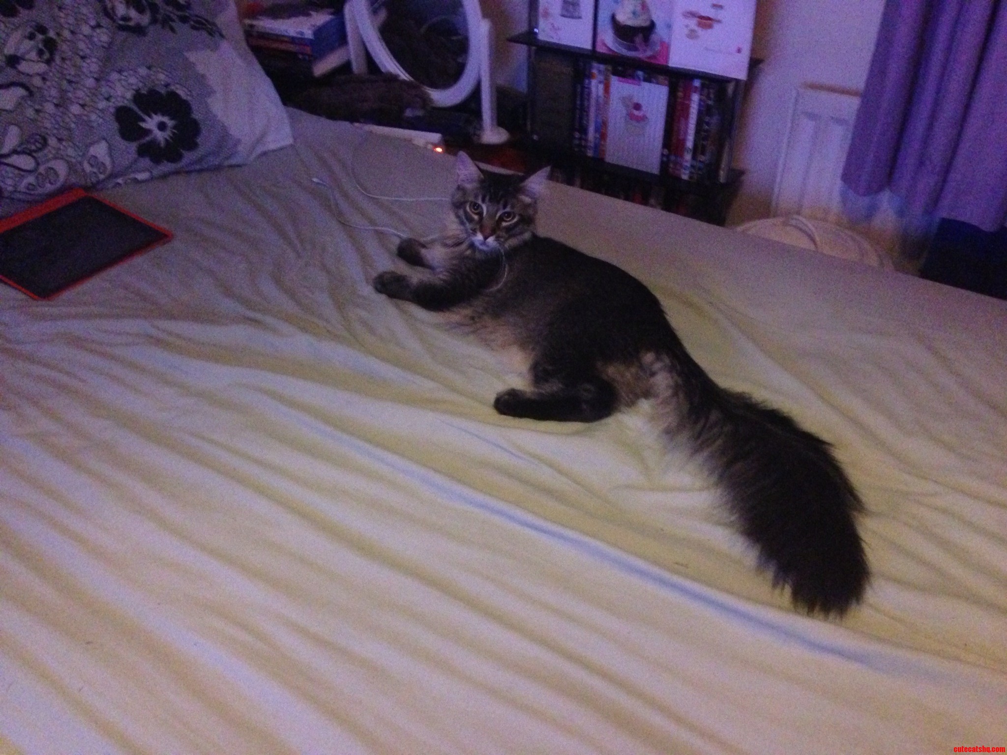 Can I Help You  Staff