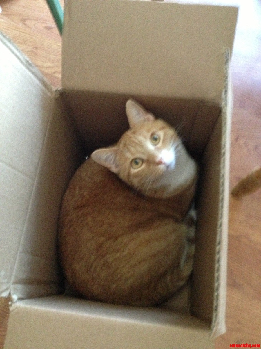 Can I Help You  X-post Raww