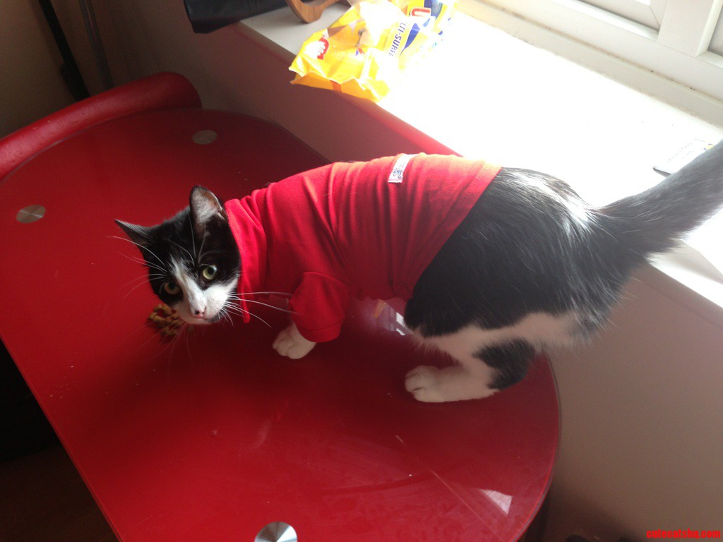Cash Giving His Best Model Pose in His New T-shirt