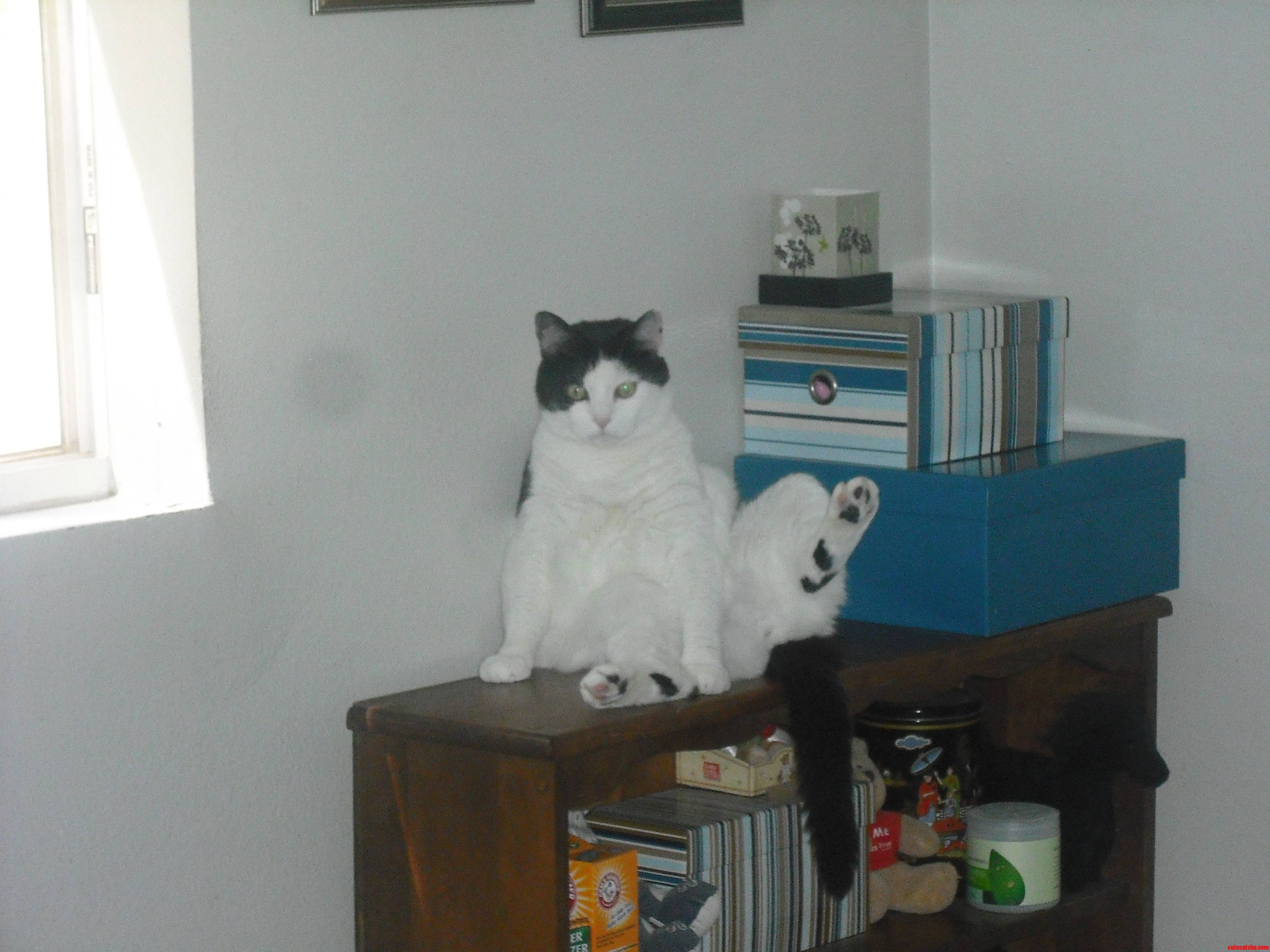 Caught in the Act