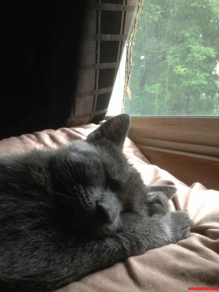 Caught You Snoozin  Lucy.