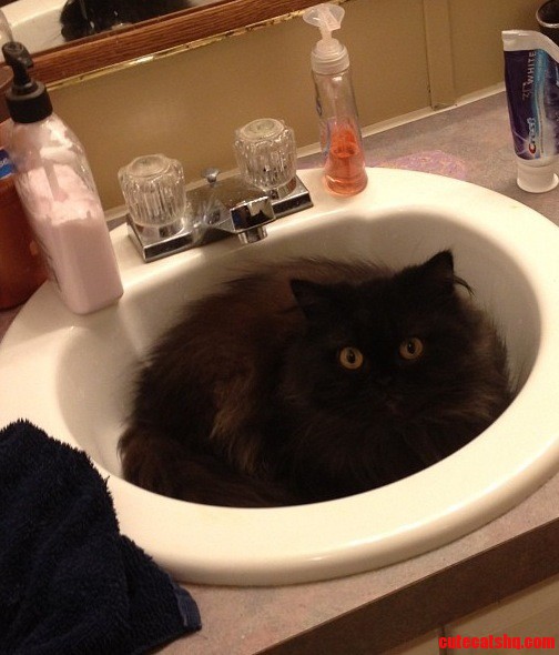 Come Home to This......what...