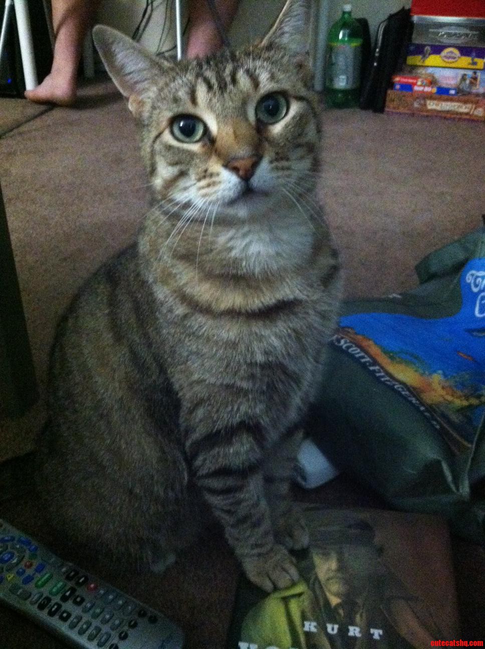 Daenerys Queen of Staring Contests.