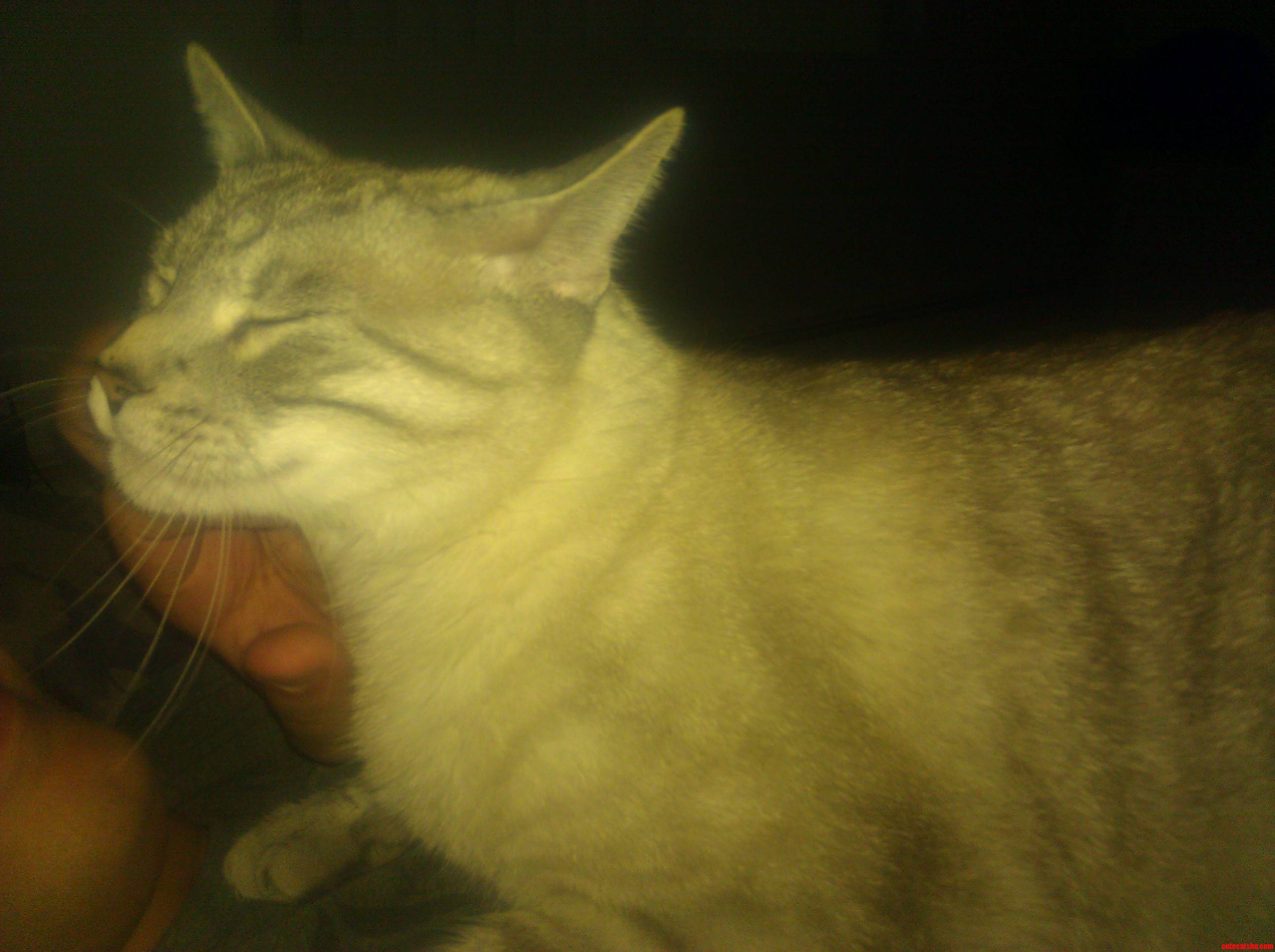 Dat Face...