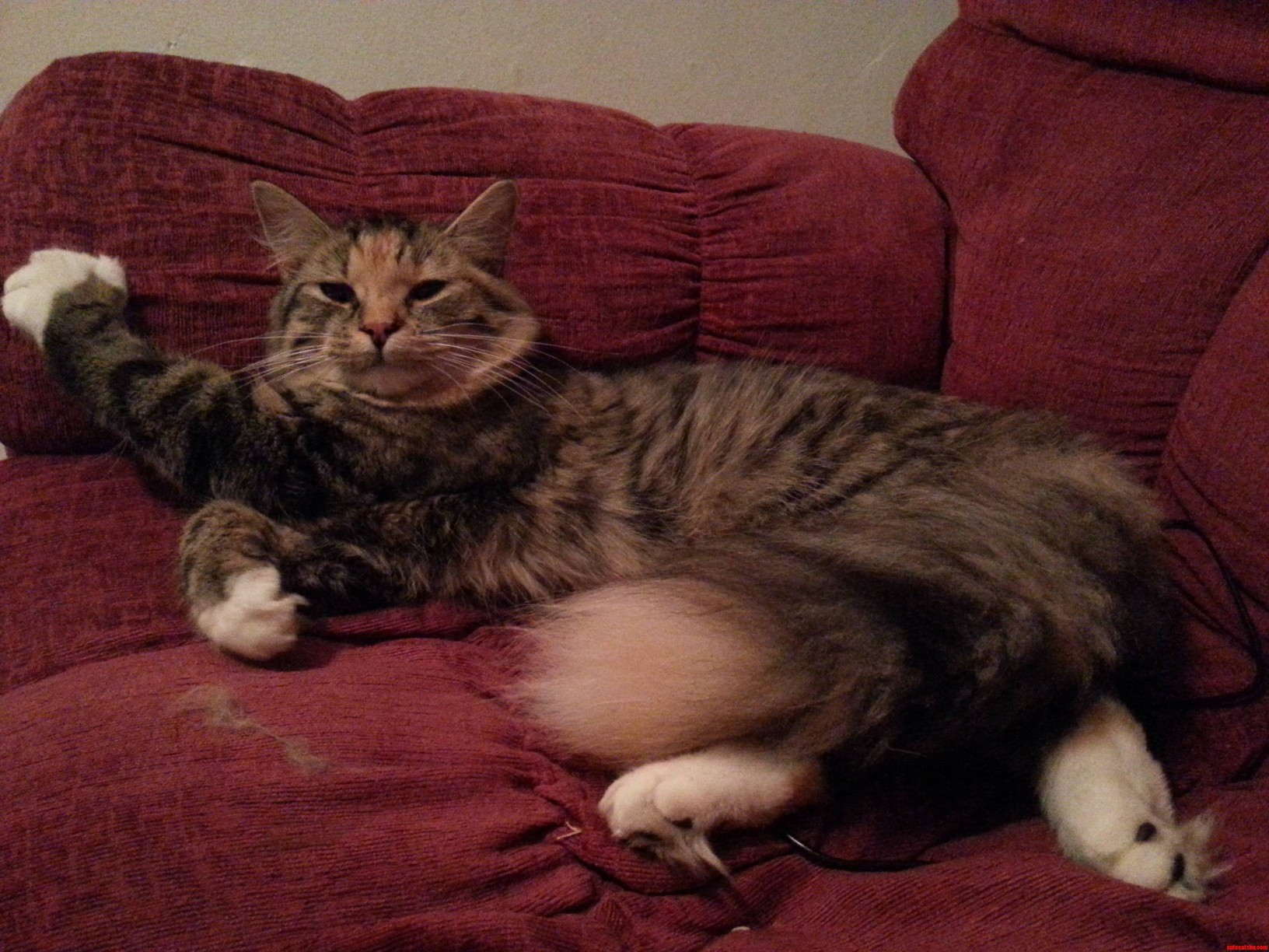 Draw Me Like One of Your French Girls