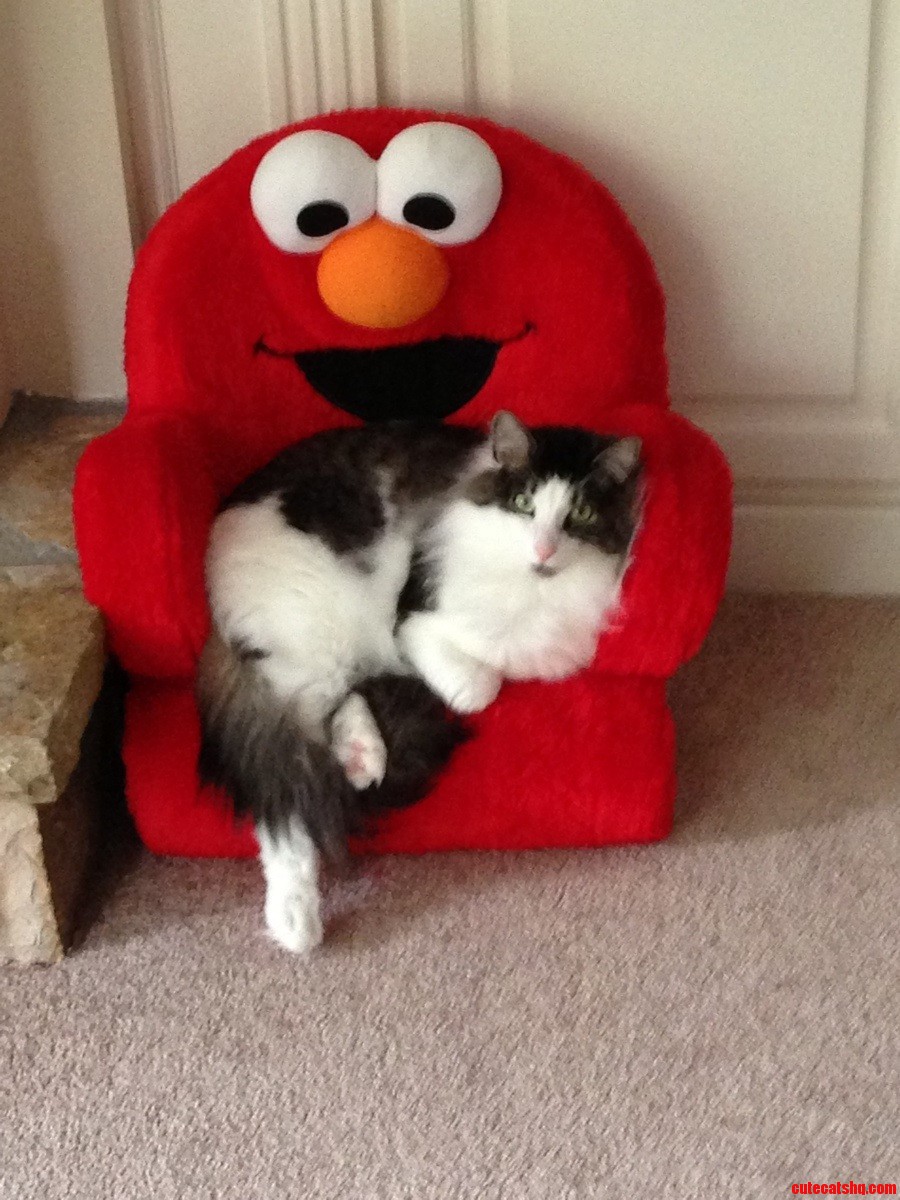 Elmo Hungry for Cloud